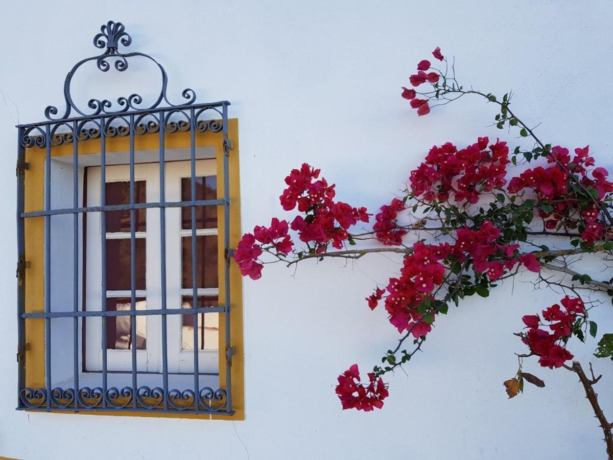 Quinta De Evoramonte Villa Estremoz Kültér fotó