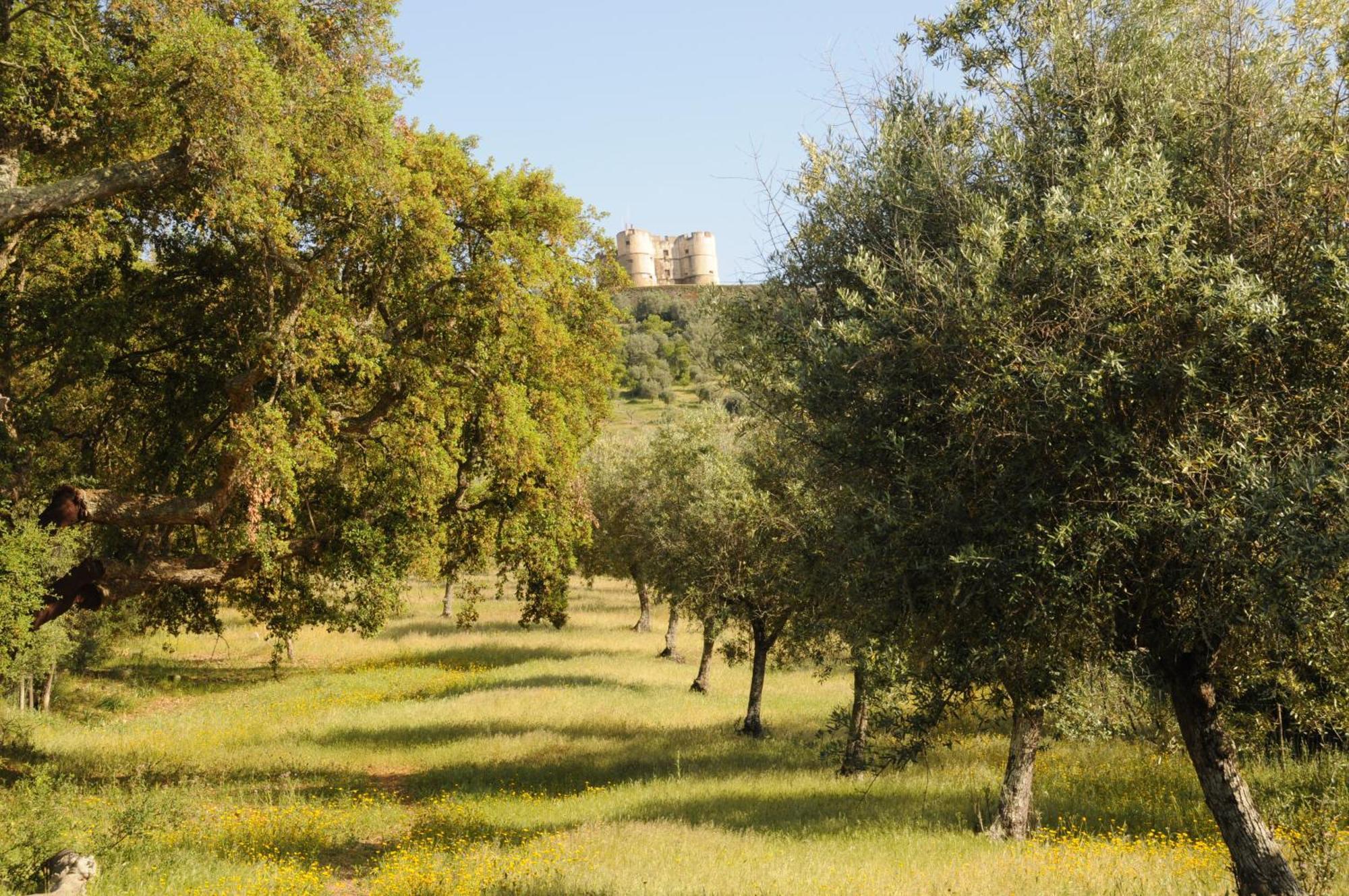 Quinta De Evoramonte Villa Estremoz Kültér fotó